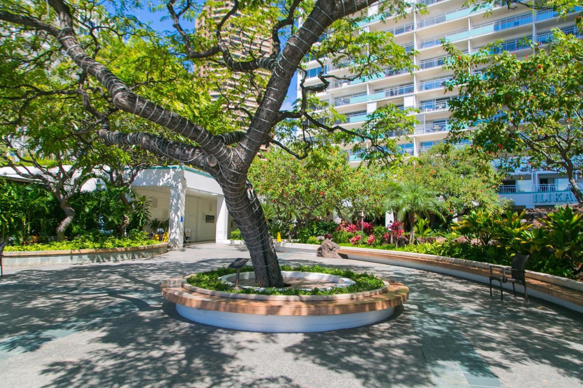 Ilikai Tower 1533 Yacht Harbor View 1Br Apartamento Honolulu Exterior foto